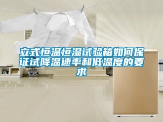 知識(shí)百科立式恒溫恒濕試驗(yàn)箱如何保證試降溫速率和低溫度的要求