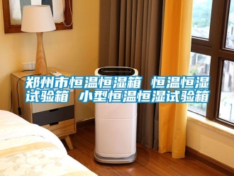 知識百科鄭州市恒溫恒濕箱 恒溫恒濕試驗箱 小型恒溫恒濕試驗箱