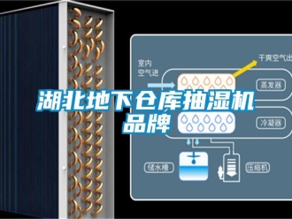 企業新聞湖北地下倉庫抽濕機品牌