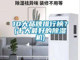 企業新聞10大品牌排行榜？(十大最好的除濕機)