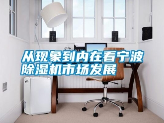 企業(yè)新聞從現(xiàn)象到內(nèi)在看寧波除濕機市場發(fā)展