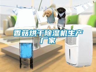 企業新聞香菇烘干除濕機生產廠家