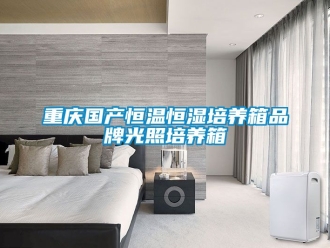 知識百科重慶國產恒溫恒濕培養箱品牌光照培養箱