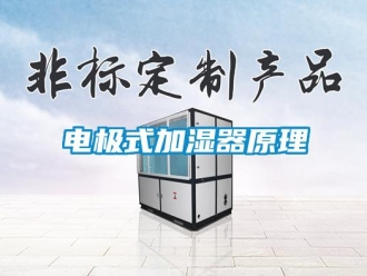 企業新聞電極式加濕器原理