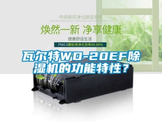行業(yè)新聞瓦爾特WD-20EF除濕機(jī)的功能特性？