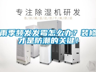 常見問題雨季頻發(fā)發(fā)霉怎么辦？裝修才是防潮的關(guān)鍵！