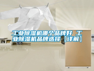 常見(jiàn)問(wèn)題工業(yè)除濕機(jī)哪個(gè)品牌好 工業(yè)除濕機(jī)品牌選擇【詳解】