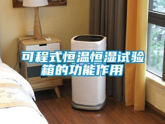 知識百科可程式恒溫恒濕試驗箱的功能作用