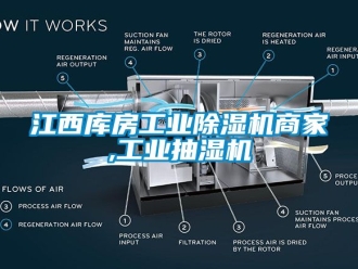常見問題江西庫房工業(yè)除濕機商家,工業(yè)抽濕機