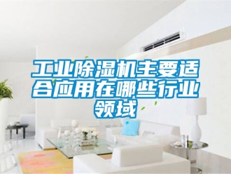 常見問題工業除濕機主要適合應用在哪些行業領域