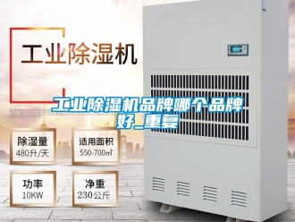 常見(jiàn)問(wèn)題工業(yè)除濕機(jī)品牌哪個(gè)品牌好_重復(fù)