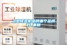 工業(yè)除濕機品牌哪個品牌好_重復