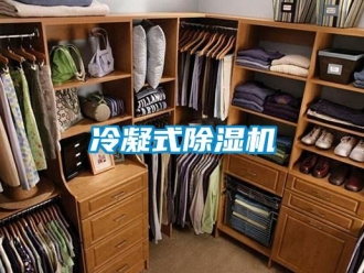 行業新聞冷凝式除濕機