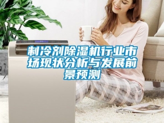 行業新聞制冷劑除濕機行業市場現狀分析與發展前景預測