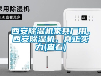 行業新聞西安除濕機家具廠用、西安除濕機、真正實力(查看)