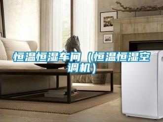 知識百科恒溫恒濕車間（恒溫恒濕空調機）