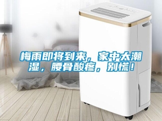行業新聞梅雨即將到來，家中太潮濕，腰骨酸疼，別慌！