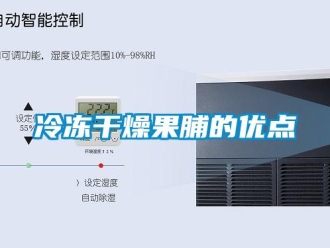 行業(yè)新聞冷凍干燥果脯的優(yōu)點(diǎn)