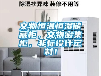 知識百科文物恒溫恒濕儲藏柜，文物密集柜，非標設計定制！