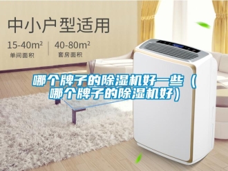 行業新聞哪個牌子的除濕機好一些（哪個牌子的除濕機好）