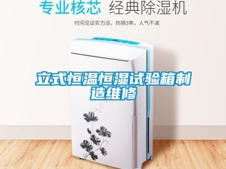 知識(shí)百科立式恒溫恒濕試驗(yàn)箱制造維修