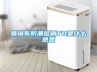 企業(yè)新聞玻璃布防潮層刷TO是什么意思