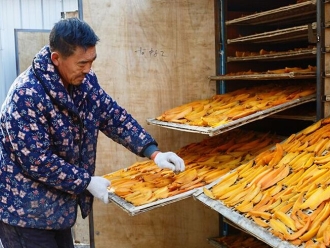 企業(yè)新聞高溫烘干機(jī)在大型農(nóng)業(yè)部門才更具有經(jīng)濟(jì)可行性