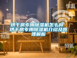 行業(yè)新聞烘干房專用除濕機(jī)怎么樣 烘干房專用除濕機(jī)介紹及原理解析