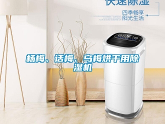 知識百科楊梅、話梅、烏梅烘干用除濕機