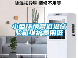 常見問題小型環境高低溫試驗箱維護費用低