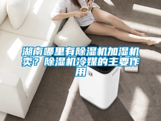 行業新聞湖南哪里有除濕機加濕機賣？除濕機冷媒的主要作用