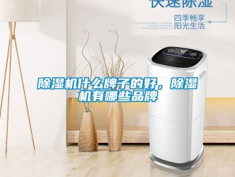 企業新聞除濕機什么牌子的好，除濕機有哪些品牌