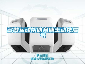企業(yè)新聞多做運(yùn)動(dòng)幫助身體主動(dòng)祛濕氣