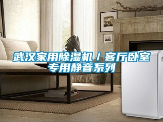 常見問題武漢家用除濕機／客廳臥室專用靜音系列