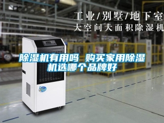 常見問題除濕機有用嗎 購買家用除濕機選哪個品牌好