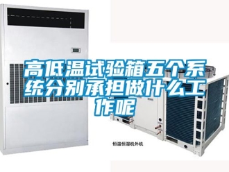 常見問題高低溫試驗箱五個系統(tǒng)分別承擔(dān)做什么工作呢