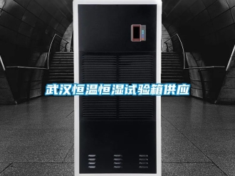 知識百科武漢恒溫恒濕試驗箱供應