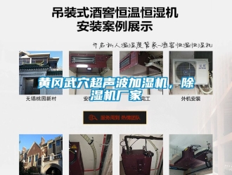 企業新聞黃岡武穴超聲波加濕機，除濕機廠家