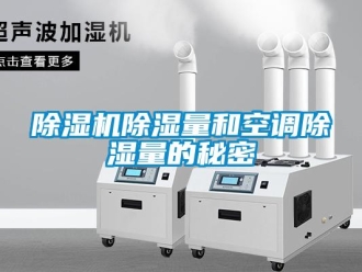 企業新聞除濕機除濕量和空調除濕量的秘密