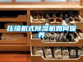 常見問題壓縮機式除濕機如何保養