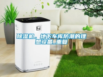 企業新聞除濕機，地下車庫防潮的理想設備_重復