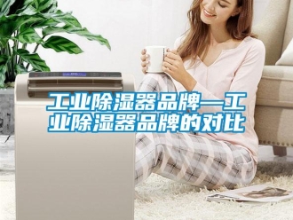 行業新聞工業除濕器品牌—工業除濕器品牌的對比