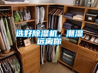 知識百科選好除濕機，潮濕遠離你