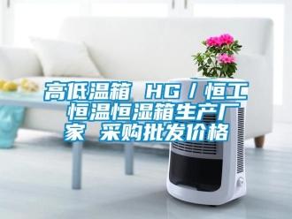 知識百科高低溫箱 HG／恒工 恒溫恒濕箱生產廠家 采購批發價格