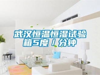 知識百科武漢恒溫恒濕試驗箱5度／分鐘