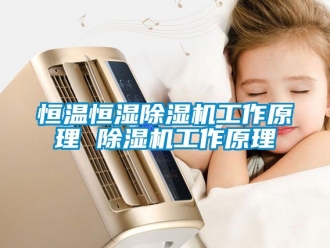 知識百科恒溫恒濕除濕機工作原理 除濕機工作原理