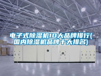 企業(yè)新聞電子式除濕機10大品牌排行(國內(nèi)除濕機品牌十大排名)