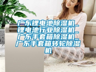 常見問題廣東鋰電池除濕機_鋰電池行業除濕機_廣東手套箱除濕機_廣東手套箱轉輪除濕機