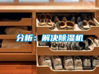 企業(yè)新聞分析：解決除濕機