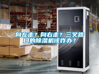 知識百科向左走？向右走？三叉路口的除濕機(jī)該咋辦？